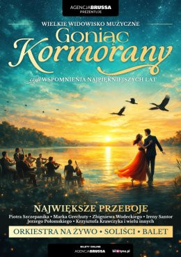 Zawiercie Wydarzenie Koncert Goniąc Kormorany - wspomnienia najpiekniejszych lat